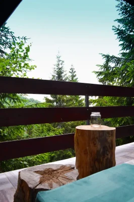 Cabin Kopaonik