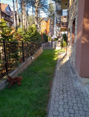 Golden Pine Zlatibor