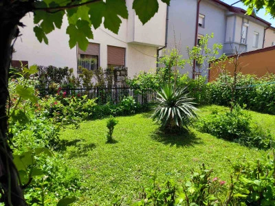 Elena Luka apartment